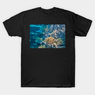 Aquarium. Xcaret Eco Park. Mexico T-Shirt